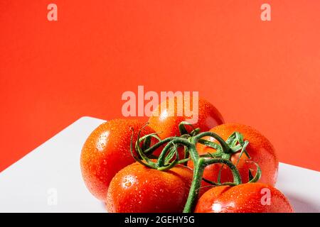 Nahaufnahme eines Straußes von fünf nassen roten natürlichen Tomaten auf einem weißen Tisch und einem roten Hintergrund.das Foto wurde im horizontalen Format aufgenommen. Stockfoto