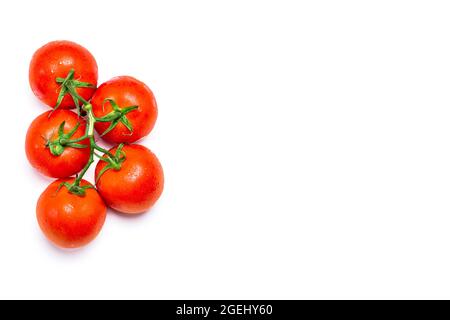 Über dem Kopf Aufnahme von fünf nassen roten natürlichen Tomaten auf weißem Hintergrund.das Foto hat Platz für Kopien und ist im horizontalen Format aufgenommen. Stockfoto