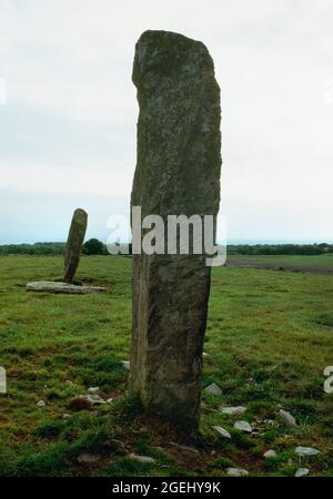 View WSW of Drumtroddan Standing Stones, Dumfries & Galloway, Schottland, UK: Eine Anordnung von drei (im C19. Gab es 4) Steinen in einer NE-SW Reihe. Stockfoto