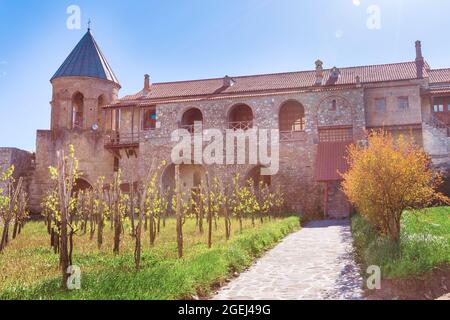 Panorama Ansicht von Alaverdi orthodoxe Kloster und Weinberg in Kakhetia Region im östlichen Georgien Stockfoto