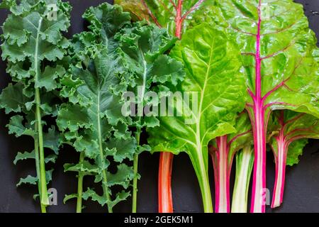 Cale und Mangold in verschiedenen Größen und Farben auf dunklem Hintergrund. Wassertropfen. Stockfoto