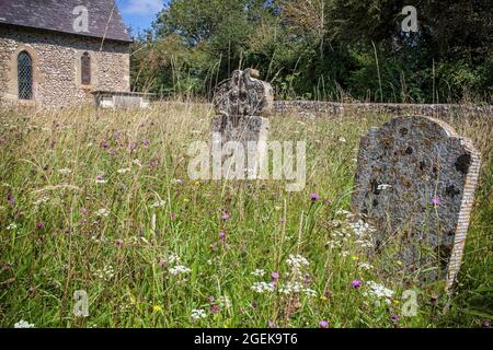 St. Michael the Archangel Church, Litlington Stockfoto