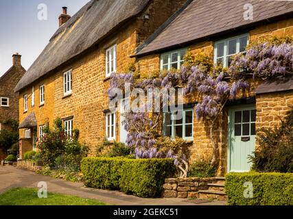 Großbritannien, England, Oxfordshire, Wroxton, Main Street, Glyzinien in Blüte über den Türen der hübschen Cotswold-Steinhütten Stockfoto