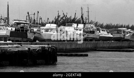 AJAXNETPHOTO. MAI 1981. KEY WEST, FLA, USA. - BESCHLAGNAHMT MARIEL-BOOTE - EINIGE DER MEHR ALS 1,400 BOOTE, DIE IN DER KUBANISCHEN MARIEL-BOOTSANLEGESTELLE VERWENDET WURDEN, DIE ZWISCHEN APRIL UND OKTOBER 1980 VOR DEM EXODUS DES FLÜCHTLINGS VON KUBA ZU DEN FLORIDA-SCHLÜSSELN FLÜCHTETE, NACHDEM SIE VON DER US-KÜSTENWACHE UND DEM ZOLL AUF DEN KAIS BESCHLAGNAHMT WURDEN. DIE BOOTE BRACHTEN ETWA 125,000 FLÜCHTENDE KUBANER IN DIE USA.FOTO:JONATHAN EASTLAND/AJAX REF:812805 22 7 Stockfoto