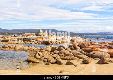 Granitfelsen mit orangefarbenen Flechten - Binalong Bay, Tasmanien, Australien Stockfoto