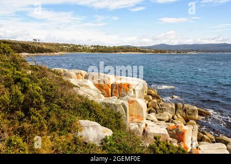 Granitfelsen mit orangefarbenen Flechten - Binalong Bay, Tasmanien, Australien Stockfoto