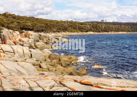 Granitfelsen mit orangefarbenen Flechten - Binalong Bay, Tasmanien, Australien Stockfoto