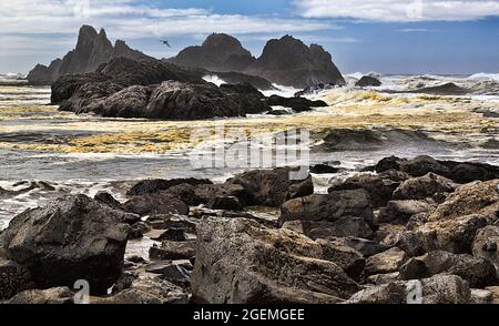 Seal Rock Beach, Oregon Stockfoto