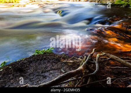 Eau Claire River, der horizontal durch die Dells des Eau Claire Parks in Aniwa, Wisconsin, fließt Stockfoto