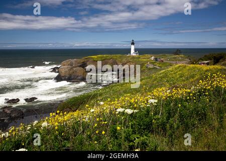 Blick auf Yaquina Head Leuchtturm und Strand Stockfoto