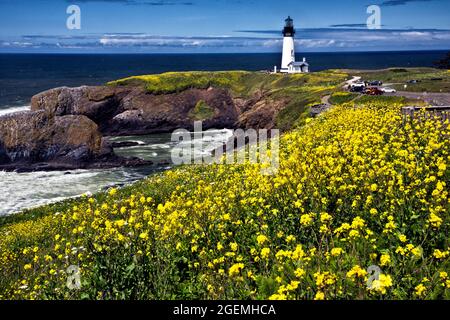 Blick auf Yaquina Head Leuchtturm und Strand Stockfoto