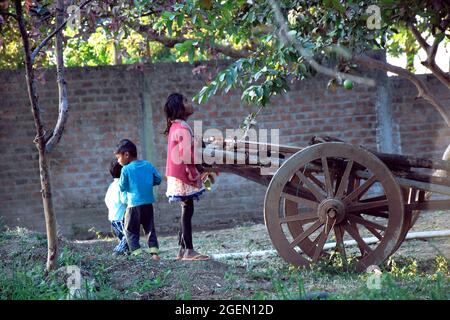 10-01-2020, MP, Indien, ländliche Kinder spielen auf indischen Farmen in der Nähe des alten Rebenwagens. Stockfoto