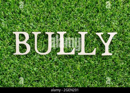 Holz Buchstaben in Wort Schläger auf Kunstrasen Hintergrund Stockfoto