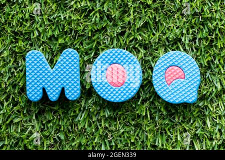 Farbe Alphabet Buchstaben in Wort MOQ (Abkürzung für Minimum Order Quantity) auf Kunstrasen Hintergrund Stockfoto