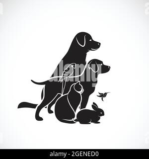 Vektor-Gruppe von Haustieren - Hund, Katze, summende Vogel, Papagei, Kaninchen isoliert auf weißem Hintergrund. PET-Symbol oder -Logo. Stock Vektor