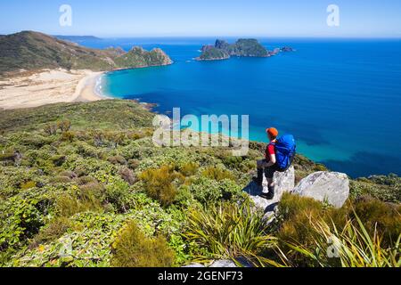 Rakiura-Nationalpark, Stewart Island Rakiura Stockfoto