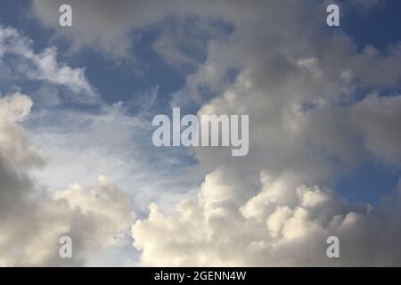 Sommerwolken bei Dämmerung, Wolkenstrukturen Stockfoto