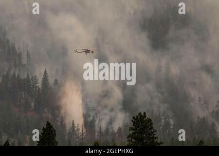 Milford, Usa. August 2021. Ein Hubschrauber wirft Wasser auf das Dixie-Feuer. Ein Stichprobenbrand aus dem Dixie-Feuer breitet sich auf den Highway 395 aus. CAL Fire berichtet, dass das Dixie Fire mittlerweile über 700,000 Acres gewachsen ist. Die Brandursache wird noch untersucht. Kredit: SOPA Images Limited/Alamy Live Nachrichten Stockfoto