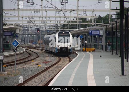 Stadler Flirt Zug von Blauwnet entlang Bahnsteig am Bahnhof Zwolle Richtung Enschede Stockfoto