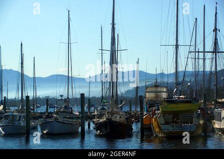 Yachten an einer Marina in Franklin im Huon Valley, Tasmanien Stockfoto