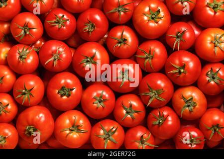 Reife rote Tomaten. Hintergrund der Speisen. Draufsicht. Stockfoto