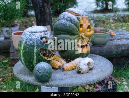 Erster Schnee, geschnitzte dekorative Kürbisse im Garten, erster Schnee auf Kürbisdekoren, halloween, Kürbisdekor, Herbstzeit Stockfoto