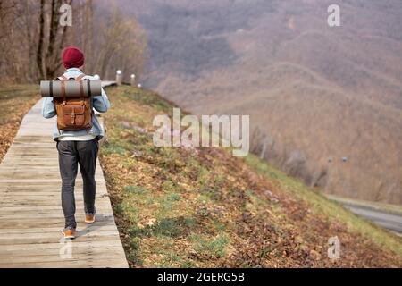 Rückansicht Auf Einen Gutaussehenden Reisenden Männchen In Legerer Kleidung Wandern Allein In Der Natur Entlang Des Holzpfades, Blick Von Hinten. Junge Kaukasische Kerl Mit Rucksack In Stockfoto