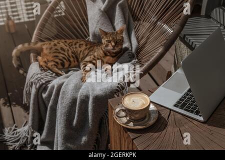 Tasse schwarzen Kaffee mit Milch in beige Handwerk Tasse auf einem massiven Holz Eiche Couchtisch mit silbernen Laptop und bengalkatze. Stockfoto