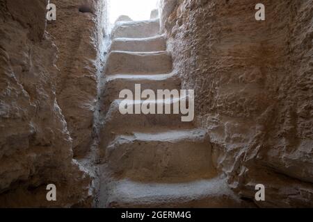 Alte Ölvorkommen im park beit guvrin Stockfoto