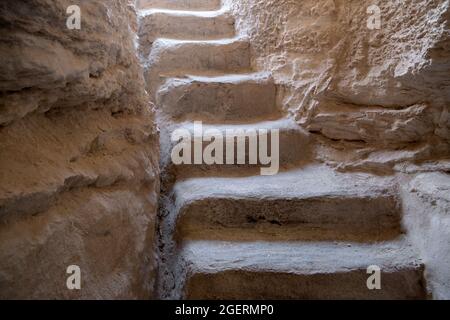 Alte Ölvorkommen im park beit guvrin Stockfoto