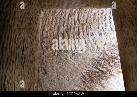 Alte Ölvorkommen im park beit guvrin Stockfoto