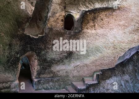 Alte Ölvorkommen im park beit guvrin Stockfoto