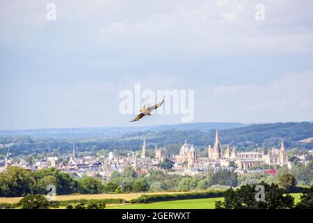 Luftaufnahme der Skyline des Red Kite Milvus milvus, der über den träumenden Türmen der Oxford University England fliegt, aufgenommen über dem lokalen Ackerland Stockfoto