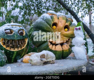 Erster Schnee, geschnitzte dekorative Kürbisse im Garten, erster Schnee auf Kürbisdekoren, halloween, Kürbisdekor, Herbstzeit Stockfoto