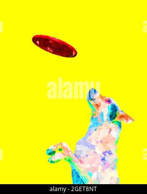 Bunte digitale Malerei Illustration eines Hundes fangen eine Scheibe isoliert auf einem gelben Hintergrund Stockfoto