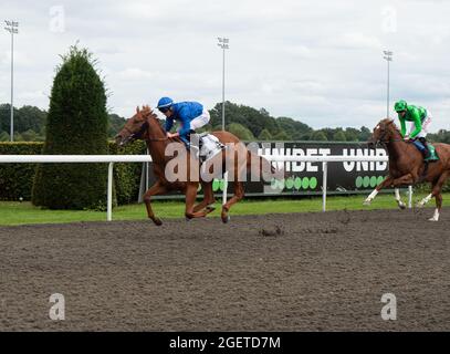 Sunbury-on-Thames, Middlesex, Großbritannien. August 2021. Mo'Assess unter Jockey Ray Dawson gewinnt den Unibet New Instant Roulette Novice Stakes (Klasse 5). Trainer Saeed bin Suroor, Newmarket. Besitzer Godolphin. Quelle: Maureen McLean/Alamy Stockfoto