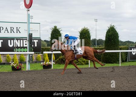 Sunbury-on-Thames, Middlesex, Großbritannien. August 2021. Mo'Assess unter Jockey Ray Dawson gewinnt den Unibet New Instant Roulette Novice Stakes (Klasse 5). Trainer Saeed bin Suroor, Newmarket. Besitzer Godolphin. Quelle: Maureen McLean/Alamy Stockfoto