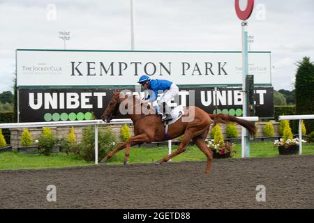 Sunbury-on-Thames, Middlesex, Großbritannien. August 2021. Mo'Assess unter Jockey Ray Dawson gewinnt den Unibet New Instant Roulette Novice Stakes (Klasse 5). Trainer Saeed bin Suroor, Newmarket. Besitzer Godolphin. Quelle: Maureen McLean/Alamy Stockfoto