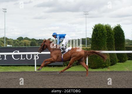 Sunbury-on-Thames, Middlesex, Großbritannien. August 2021. Mo'Assess unter Jockey Ray Dawson gewinnt den Unibet New Instant Roulette Novice Stakes (Klasse 5). Trainer Saeed bin Suroor, Newmarket. Besitzer Godolphin. Quelle: Maureen McLean/Alamy Stockfoto