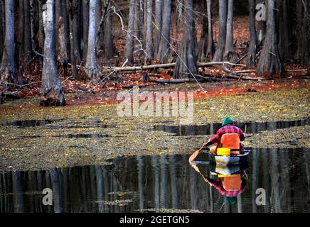 Dieser Fischer gleitet über die stillen Gewässer eines Bayoo in Ost-Texas. Das Wasser ist still und die Reflexion folgt dem Boot. Fischer trägt karierten j Stockfoto