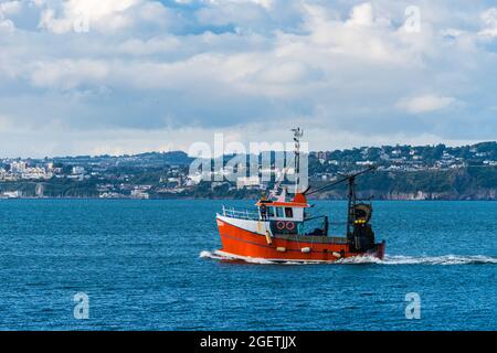 Fischerboot in Brixham Marina und Hafen, Torbay, Devon, England Stockfoto