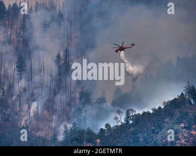 Ein Feuerwehrhubschrauber CH-54Ein Hubschrauber wirft Wasser auf eine bergige Gegend in der Nähe des New River beim Monument Fire im Shasta Trinity National Forest 19. August 2021 in Junction City, Kalifornien. Stockfoto