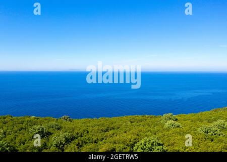 Luftaufnahme von Meer und Bäumen an der albanischen riviera, Albanien, Europa Stockfoto