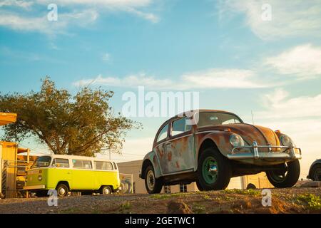 Classic 1970er Typ 2 Volkswagen Bus Kombi und Vintage rostige Ratte Volkswagen Beetle in der Wüste bei Kingman Arizona Stockfoto