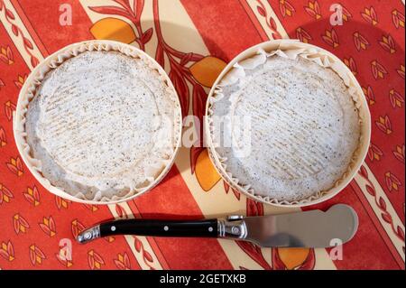 Geschmack der Provence, kleiner runder Käse Tome de Provence aus Ziegenmilch in Banon, Alpes-de-Haute-Provence, Frankreich, serviert auf traditionellem Tafeltuch Stockfoto