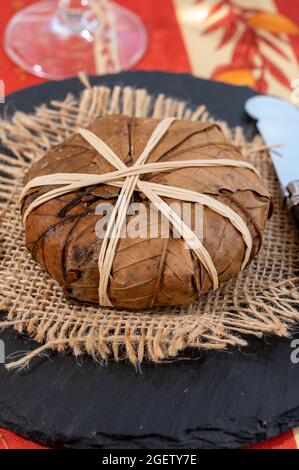 Geschmack der Provence, alte kleine Ziegenkäse Banon a la feuille in Kastanienblätter gewickelt und gebunden mit Bast, Frankreich Stockfoto