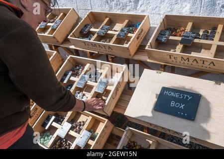 Eine Frau, die Fossilien und Gesteinsproben zum Verkauf ansieht, wobei die Zahlung in einer Honesty Box erfolgt. In Uyeasound auf Unst, Shetland. Stockfoto