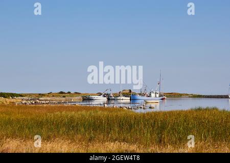 Boote in Hirsholm Hafen, Sommer; Hirsholm, Dänemark Stockfoto