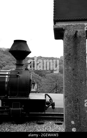 'Fiji' am Bahnhof Beddgelert. Stockfoto