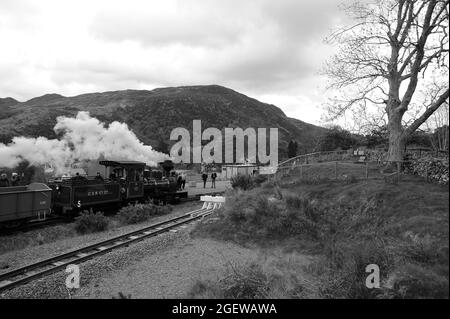 'Fiji' am Bahnhof Beddgelert. Stockfoto